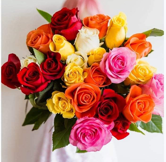 Rosas