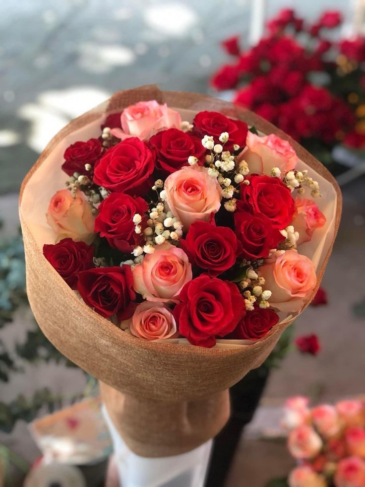 Nicecute
