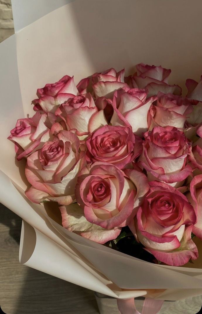 Pink Lady